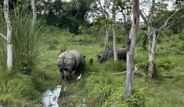 Nepal holidays  : A comfort tour